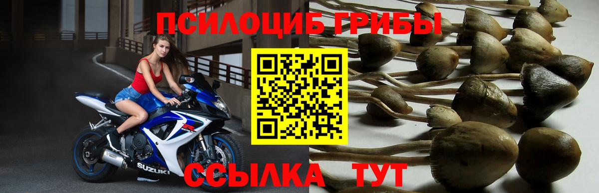 Галлюциногенные грибы мицелий Белебей